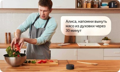 Умная колонка Yandex Станция Мини голос.п.:Алиса 3W Android/iOS черный (YNDX-0004B)